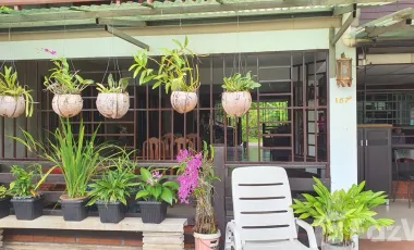 3 Bedroom House for sale in San Sai, Chiang Rai