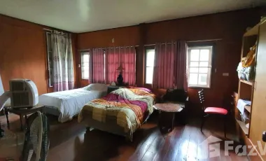 3 Bedroom House for sale in San Sai, Chiang Rai