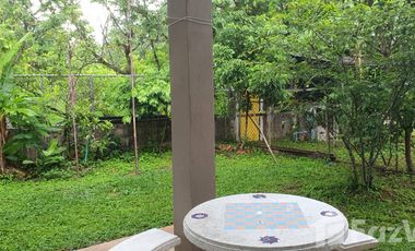 3 Bedroom House for sale in San Sai, Chiang Rai