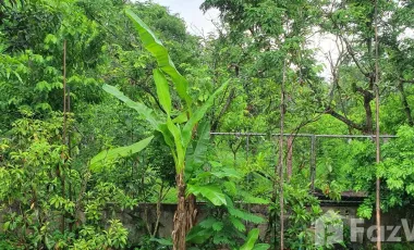 3 Bedroom House for sale in San Sai, Chiang Rai