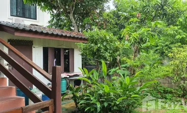 3 Bedroom House for sale in San Sai, Chiang Rai