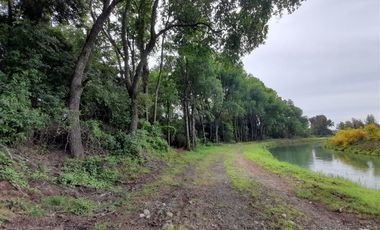 Sitio en Venta en Mulchen Santa adriana