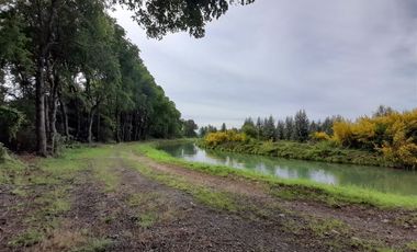 Sitio en Venta en Mulchen Santa adriana