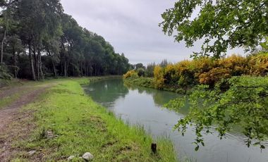 Parcela en Venta en Mulchen Santa adriana