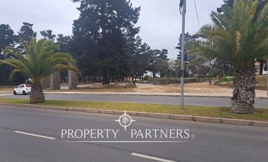 Gran terreno en Av. Blanca Estela, Bosques de Montemar