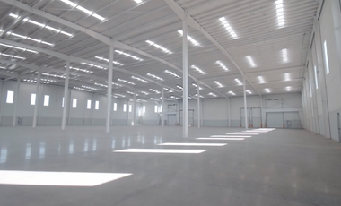 NAVE INDUSTRIAL EN GUANAJUATO