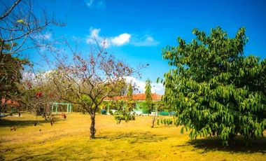 ALQUILO CASA EN CORONADO, CERCA DE TODO Y A PRECIO DE OFERTA