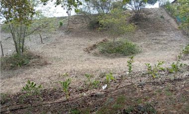 Venta de Amplio y Céntrico Terreno En Valle de los Lirios ,El Valle