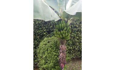 VENDO A PUERTA CERRADA COMPLETA CASA EN FUSAGASUGA 5H 4B 2G