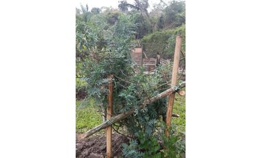 VENDO A PUERTA CERRADA COMPLETA CASA EN FUSAGASUGA 5H 4B 2G