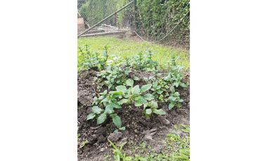 VENDO A PUERTA CERRADA COMPLETA CASA EN FUSAGASUGA 5H 4B 2G