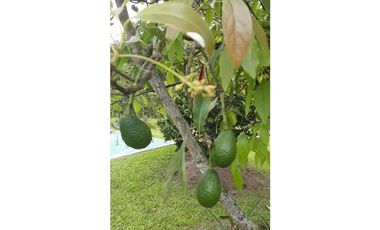 VENDO A PUERTA CERRADA COMPLETA CASA EN FUSAGASUGA 5H 4B 2G