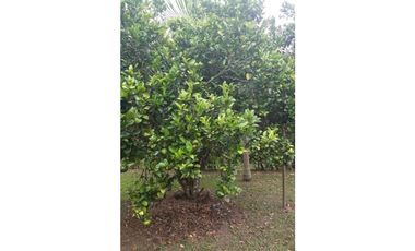 VENDO A PUERTA CERRADA COMPLETA CASA EN FUSAGASUGA 5H 4B 2G