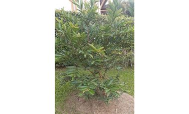 VENDO A PUERTA CERRADA COMPLETA CASA EN FUSAGASUGA 5H 4B 2G