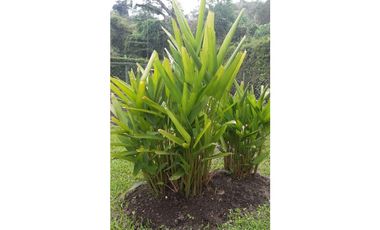 VENDO A PUERTA CERRADA COMPLETA CASA EN FUSAGASUGA 5H 4B 2G