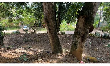 Terreno en venta - Tarapoto - Partido Alto