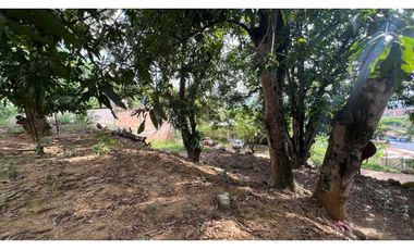 Terreno en venta - Tarapoto - Partido Alto