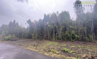 Parcela en Venta en Parcelación Alerce Escondido - Polincay