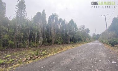 Parcela en Venta en Parcelación Alerce Escondido - Polincay