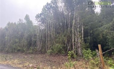 Parcela en Venta en Parcelación Alerce Escondido - Polincay