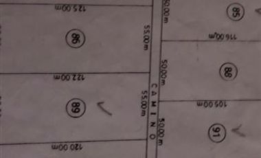 Parcela en Venta en Parcelación Alerce Escondido - Polincay