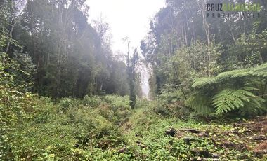 Parcela en Venta en 2 parcelas en Polincay - Parcelación Alerce Escondido