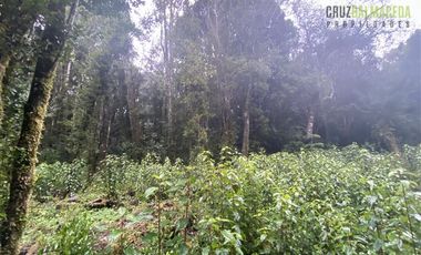 Parcela en Venta en 2 parcelas en Polincay - Parcelación Alerce Escondido