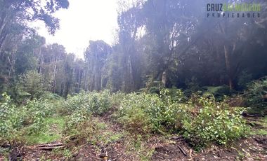 Parcela en Venta en 2 parcelas en Polincay - Parcelación Alerce Escondido