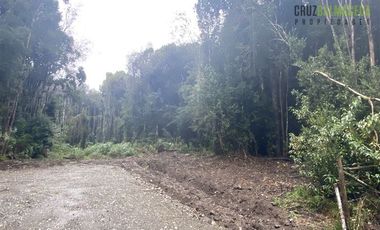 Parcela en Venta en 2 parcelas en Polincay - Parcelación Alerce Escondido