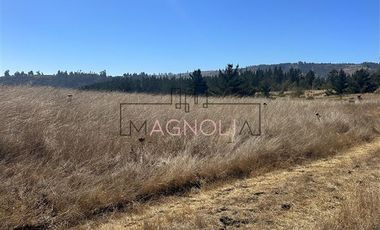 Sitio en Venta en la campana