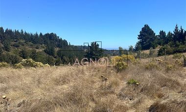 Sitio en Venta en la campana