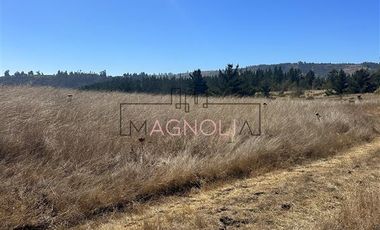 Sitio en Venta en la campana