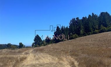 Sitio en Venta en la campana