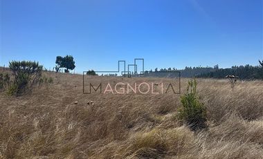 Sitio en Venta en la campana