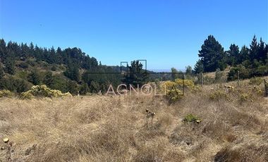 Parcela en Venta en la campana