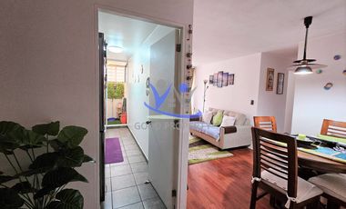 DEPARTAMENTO EN MACUL CON QUILIN