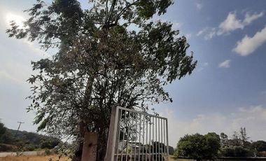 Rancho en Venta: Oportunidad Única en Jilotepec, México