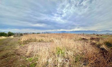 Agrícola en Venta en Camino Lo Boza - Camino Lo Echevers - Aeropuerto Internacional