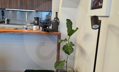 Departamento en venta en Cuauhtémoc