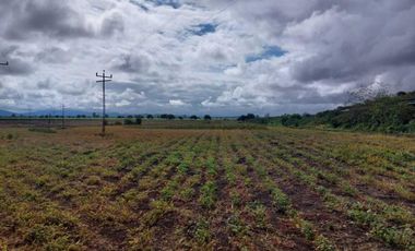 Terreno en venta en El Coyote, Colón, Querétaro