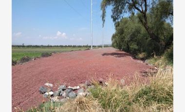 Terreno en venta en El Castillo, Apaseo El Grande, Guanajuato