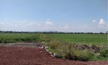Terreno en venta en El Castillo, Apaseo El Grande, Guanajuato
