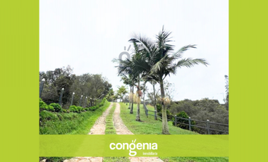 Finca en Venta La Mosquita