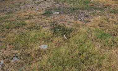 TERRENO EN RENTA 10X30. FRACC. MALIBRAN. CARMEN, CAMPECHE.