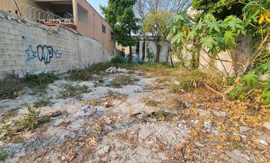 TERRENO EN RENTA. 9X27.  CARMEN, CAMPECHE