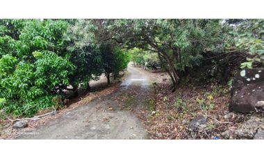 VENDO CASA DE 3HAB EN SANTA LUCIA BOQUETE
