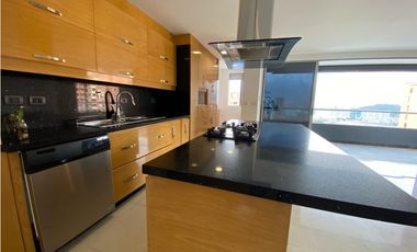 Apartamento en Arriendo Poblado Sector Castropol