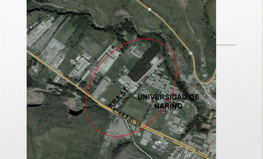 ALQUILA LOTE TOROBAJO PASTO