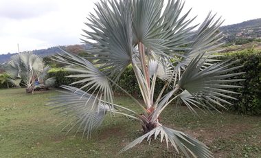 venta de casa campestre en condominio de 1704 M2 en 870 mill