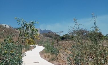 Con vista al lago de Chapala